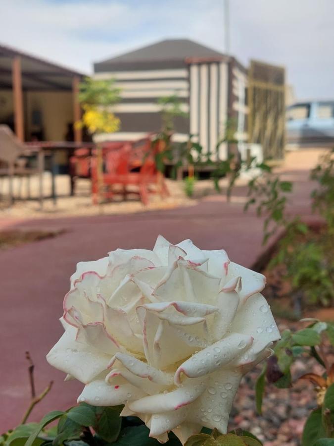 Wadi Rum Oryx Hostel & Tours Exteriér fotografie